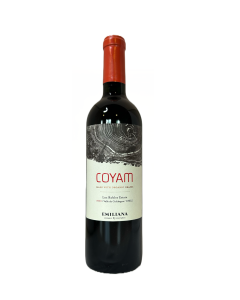 Coyam.png